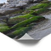 「ドウフィン・ポイントのペリカン岬で茶色のペリカン ポスター (角)