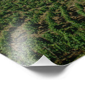 ドウロ・サン・ミゲル村のブドウ畑 フォトプリント            (角)