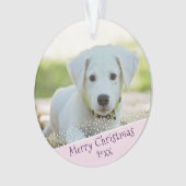 ドカスタムッグペットの写真クリスマスピンクの記念日 オーナメント (正面)