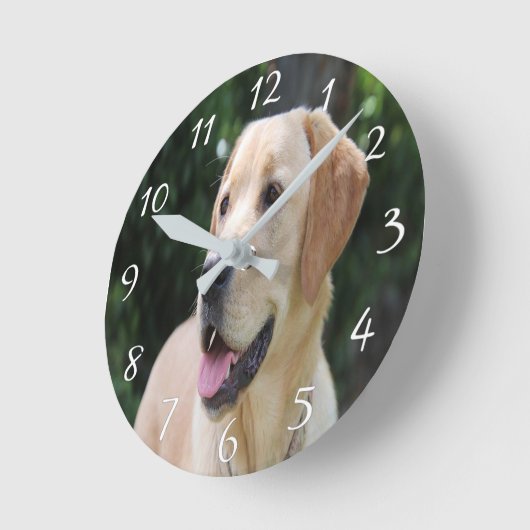 ドカスタムッグ写真アクリル時計 ラウンド壁時計 (傾斜)