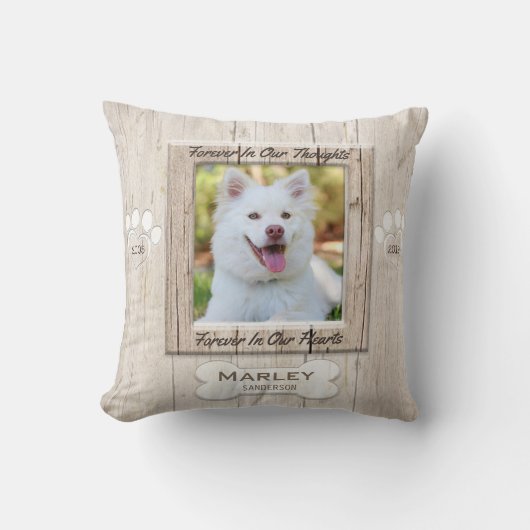 ドカスタムッグ記念碑 クッション (正面)