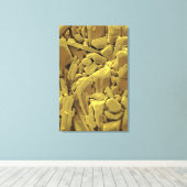 ドキシサイクリンはテトラサイクリン系アンチビの一種である キャンバスプリント (インサイチュ (ウッドフロア))