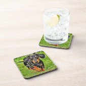 ドキシードッグライブ笑いDachshunds誕生日ポスト コースター (右側)