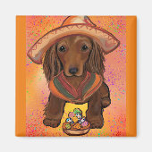 ドキシーメキシコ マグネット (正面)