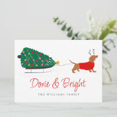 ドキシーメリー&ブライトダックスシュント シーズンカード (スタンド正面)