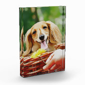 ドキシー人の手が花をダックスシュントに示す フォトブロック (左)