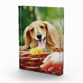 ドキシー人の手が花をダックスシュントに示す フォトブロック (右)