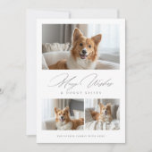 ドギーキスおもしろい犬3モダン写真クリスマス シーズンカード (正面)