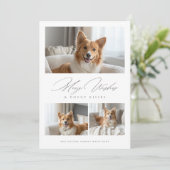 ドギーキスおもしろい犬3モダン写真クリスマス シーズンカード (スタンド正面)