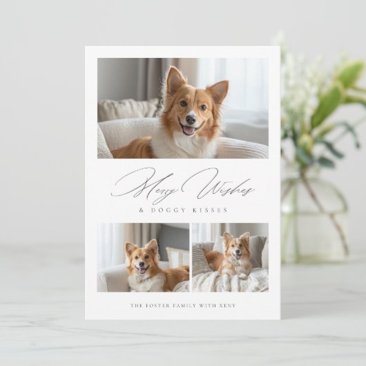 ドギーキスおもしろい犬3モダン写真クリスマス シーズンカード (スタンド正面)