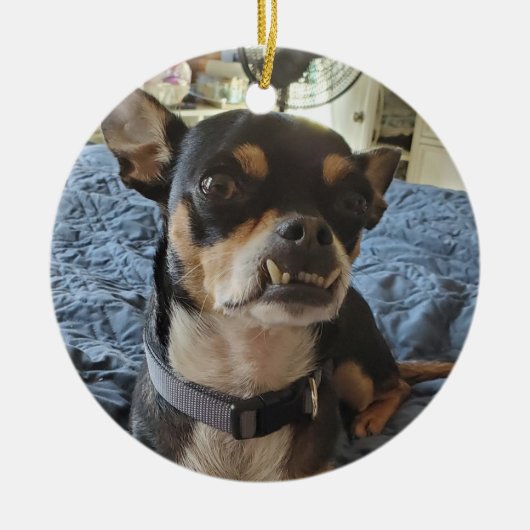ドギーパーソナライズされた写真 セラミックオーナメント (正面)