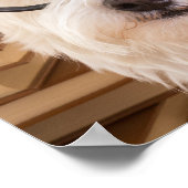 ドギー頭が切れる ポスター (角)