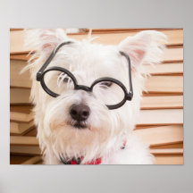 ドギー頭が切れる