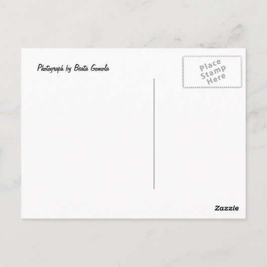 ドギー ポストカード (裏面)