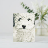 ドギー ポストカード (スタンド正面)