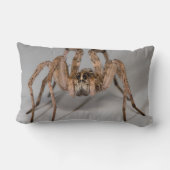 ドクグモ ランバークッション (裏面)