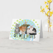 ドクターやナースとしてかわいい猫たちの姿が好き カード (黄色い花)