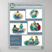 ドクターズインの犬の取扱原則 ポスター (正面)