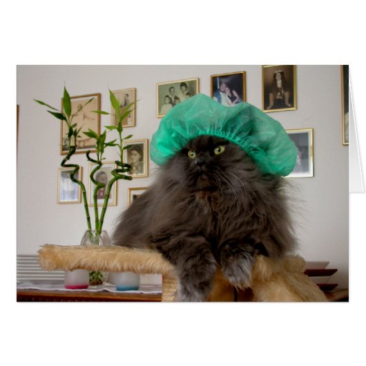 ドクター・ロメオ (正面横)