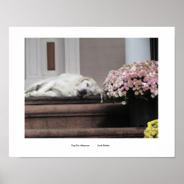 ドグデイアフタヌーンプリント ポスター