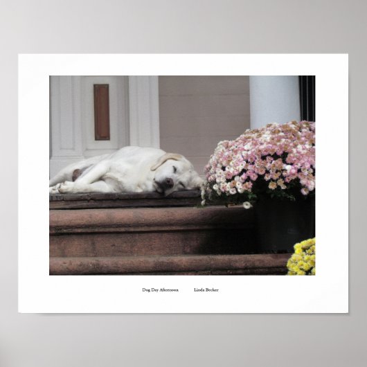 ドグデイアフタヌーンプリント ポスター (正面)