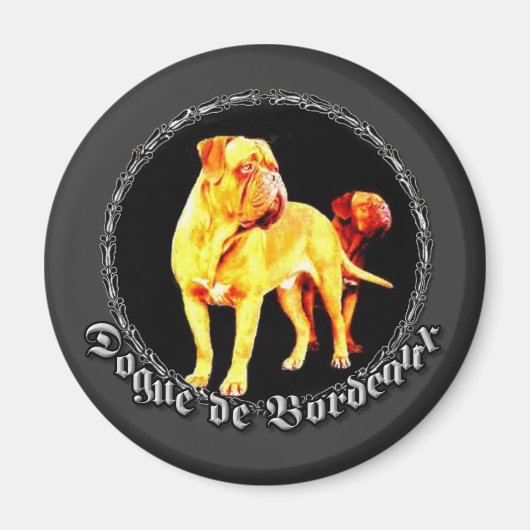 ドグデボルドー磁石 マグネット (正面)