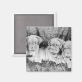 ドグデボルドー磁石 マグネット (正面/裏面)