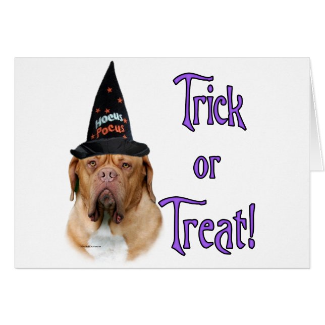 ドグドゥボルドートリック (正面横)