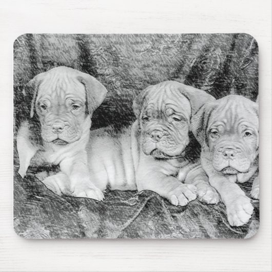 ドグドゥボルドーマウセパド マウスパッド (正面)