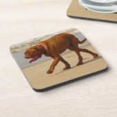 ドグドゥボルドー コースター (左側)