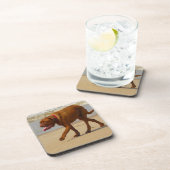 ドグドゥボルドー コースター (右側)