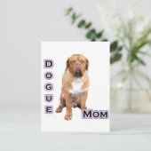 ドグママ4 ポストカード (スタンド正面)