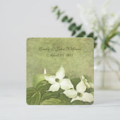 ドグ結婚ウッド誓の更新 招待状 (スタンド正面)