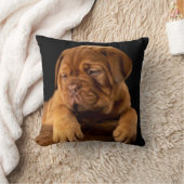 ドグ・デ・ボルドーフランスのー – マスティフ犬 クッション (ブランケット)