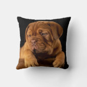 ドグ・デ・ボルドーフランスのー – マスティフ犬 クッション (裏面)