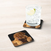 ドグ・デ・ボルドーフランスのー – マスティフ犬 コースター (右側)