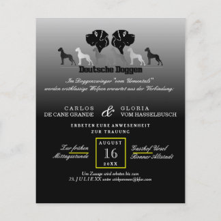 ドゲンフライヤー チラシ