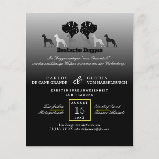 ドゲンフライヤー チラシ (裏面)