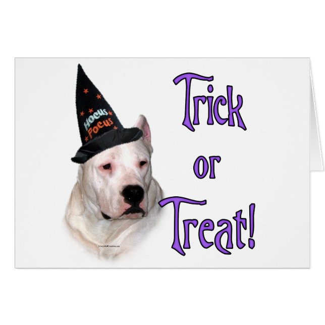 ドゴアルゼンチーノトリック (正面横)