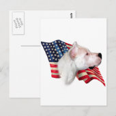 ドゴ・アルゼンチン国旗 ポストカード (正面/裏面)