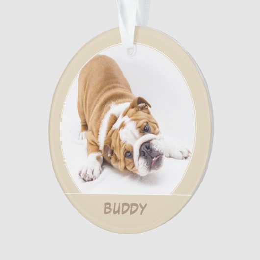 ドシンプルッグの子犬のクリスマスペット写真 オーナメント (正面)