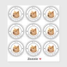 ドジェコインサークルビジネスロゴステッ澄んカー