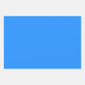 ドジャーブルー無地のカラー |クラシック |エレガント | ラッピングペーパーシート (正面2)