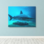 ドスメスジロザメ (Carcharhinus Obscurus), ウシャカ キャンバスプリント (インサイチュ (ウッドフロア))