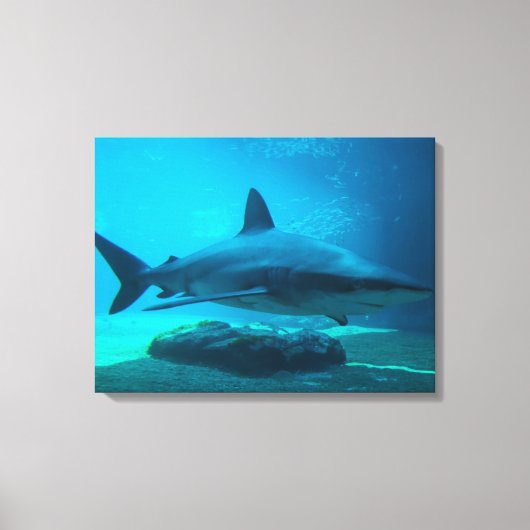 ドスメスジロザメ (Carcharhinus Obscurus), ウシャカ キャンバスプリント (正面)