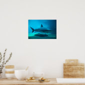 ドスメスジロザメ (Carcharhinus Obscurus) 、ウシャカ ポスター (キッチン)