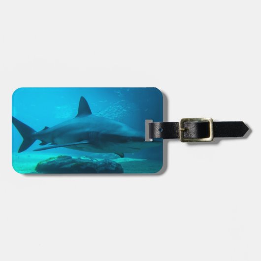 ドスメスジロザメ(Carcharhinus Obscurus) ウシャカ ラゲッジタグ (正面横)