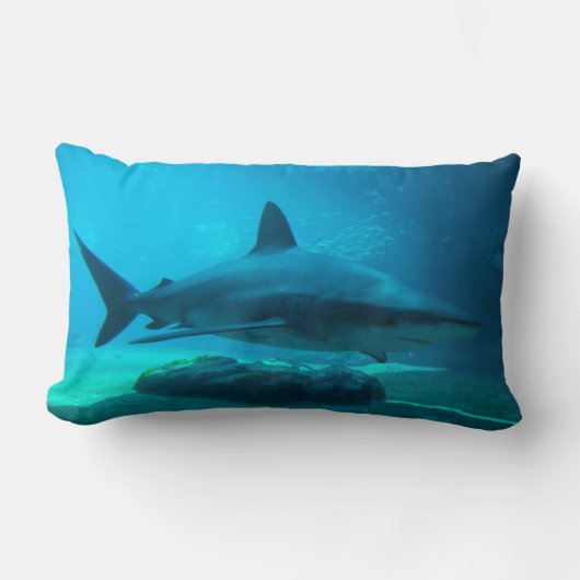 ドスメスジロザメ (Carcharhinus Obscurus), ウシャカ ランバークッション (正面)
