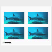 ドスメスジロザメ (Carcharhinus Obscurus)、ウシャカ 長方形シール (シート)