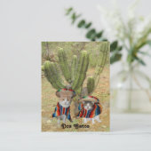 ドス・ガトス ポストカード (スタンド正面)